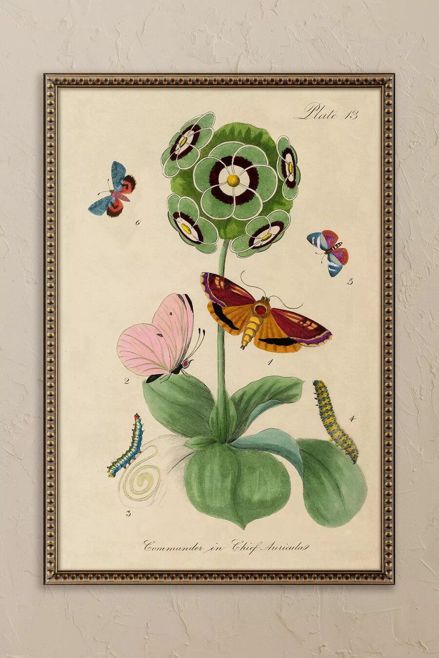fiore di wyatt landesmann opera darte incorniciata
