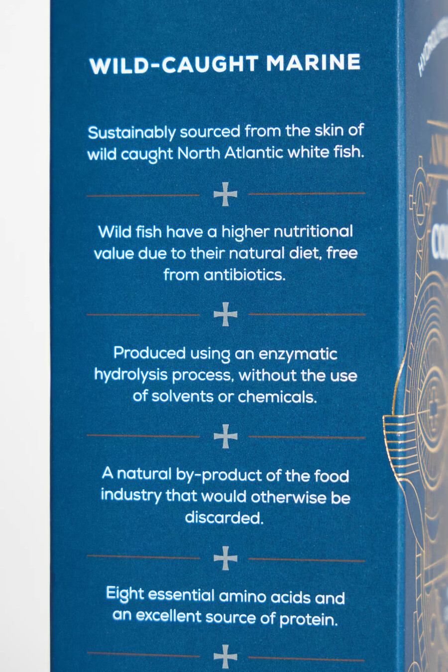 bustine di collagene selvatico ancient brave